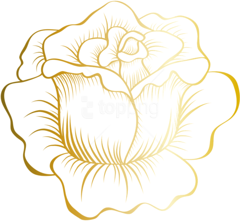 Free Png Download Golden Rose Clipart Png Photo Png - Transparent Gold Flowers Png (850x778), Png Download