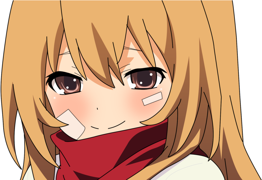 Photo Taiga Aisaka Fc-24 - Anime Girl In Bear Costume (1022x575), Png Download
