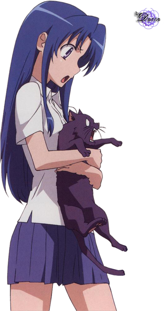 Image - Anime Toradora Render (537x1009), Png Download