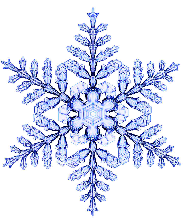 Snowflake - Snowflakes Png (800x882), Png Download