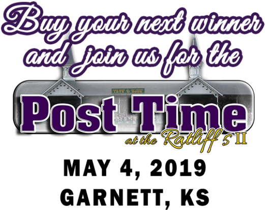 Purchase Your Next Herd Standout During The Post Time - Lavender (846x1024), Png Download