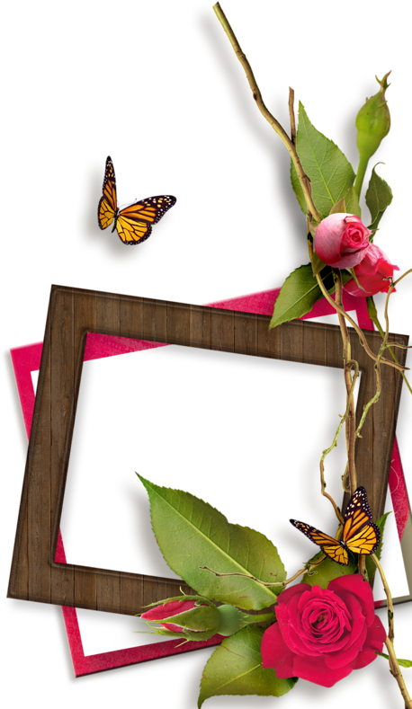 Image Du Blog Zezete2 - Saturday Love (479x800), Png Download