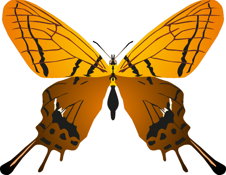 Butterfly Png Images - Butterflys (771x597), Png Download
