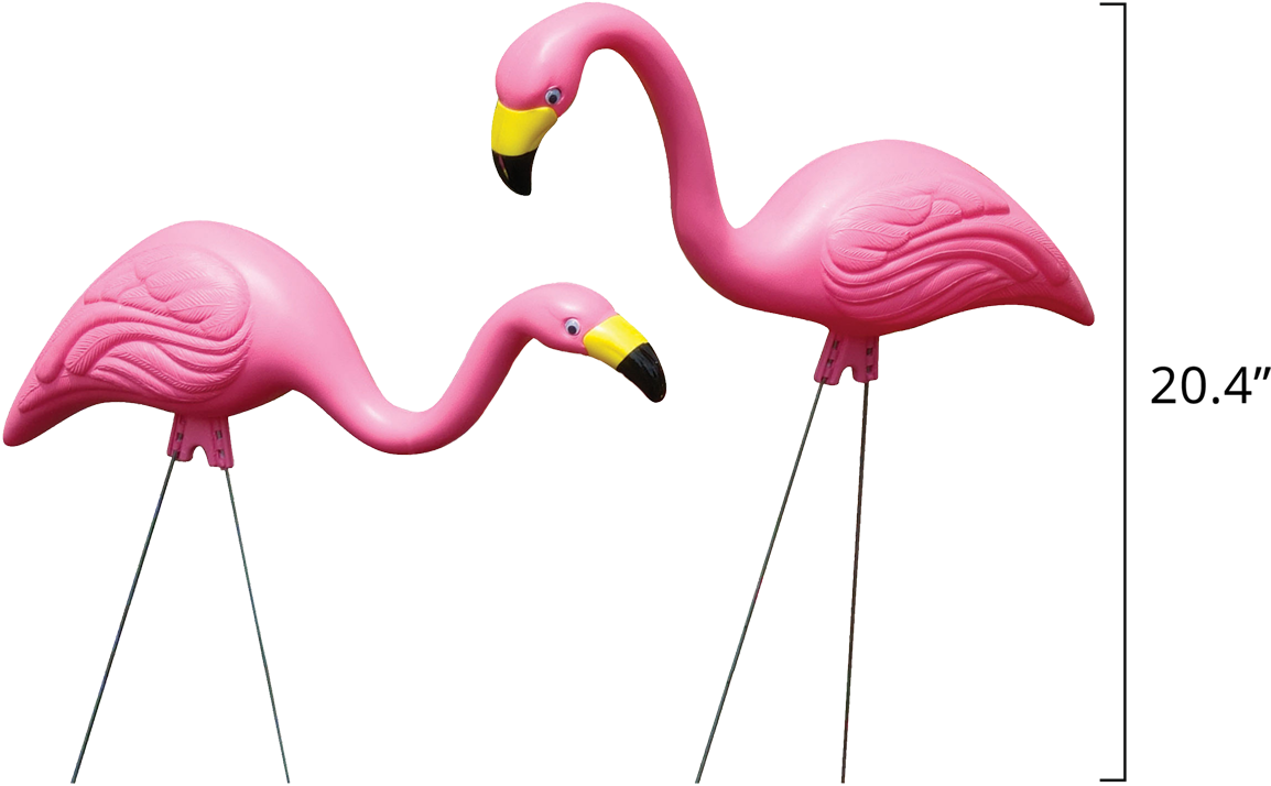 Pink - Flamingo Garden (1199x800), Png Download