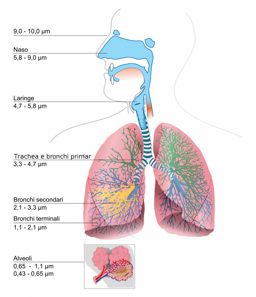 Monitoring Dust To Determine Impacts On Human Health - Do I Have Trouble Breathing (883x1024), Png Download