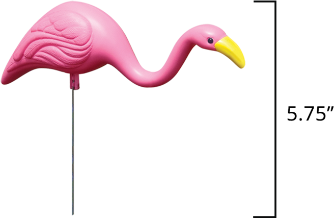 Mini Mingo - Greater Flamingo (931x705), Png Download