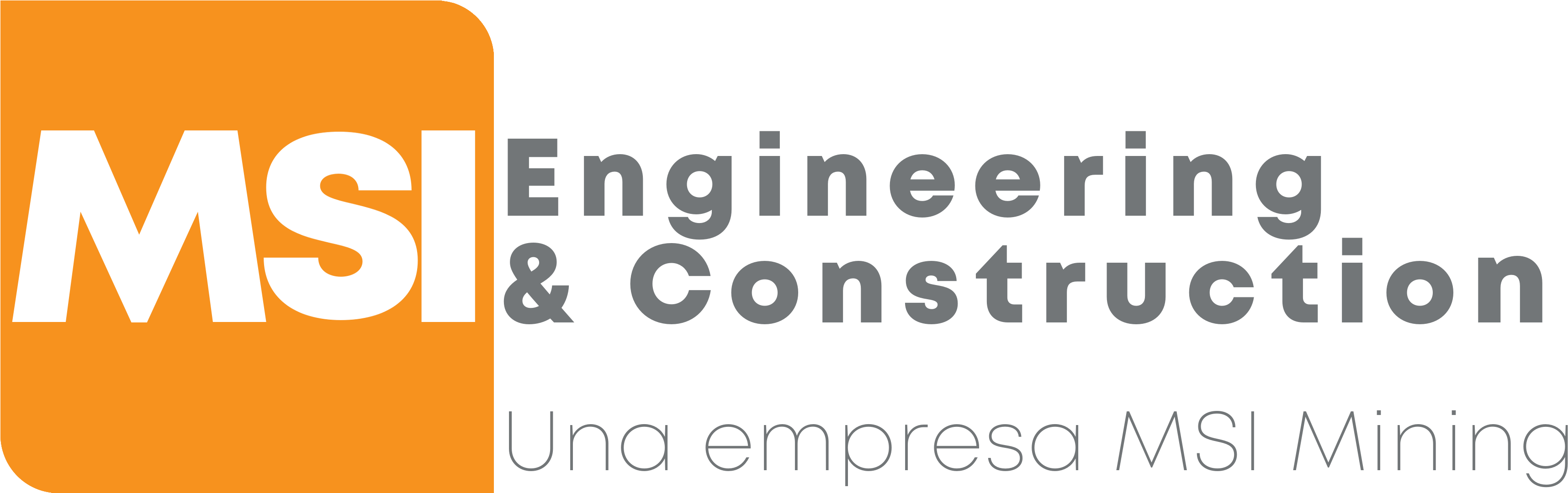 Msi Logo Msi Engeenering Transparente - Fundación Wk Kellogg (3600x1200), Png Download