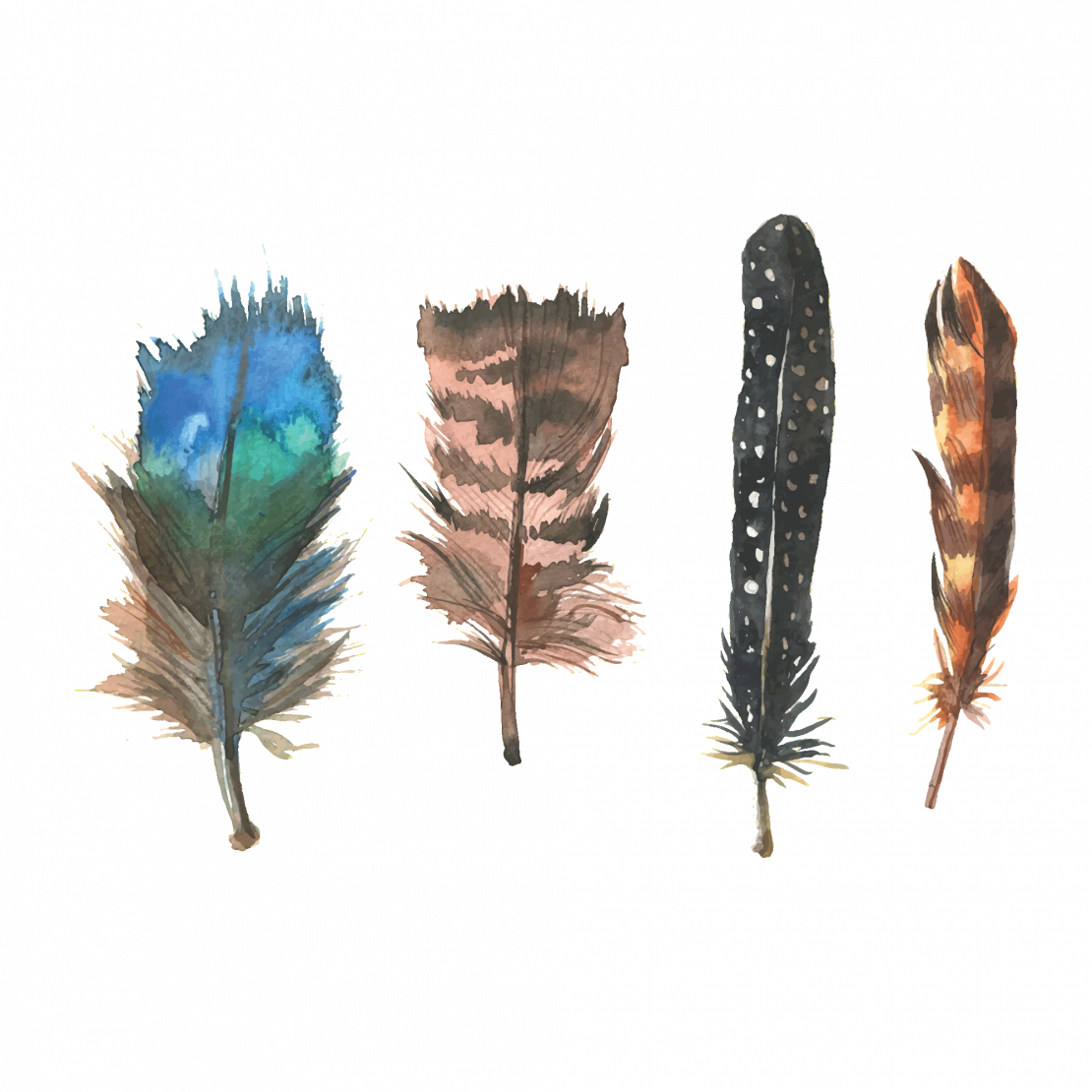 Feathers Of Happiness - Watercolor Paint (1110x1110), Png Download