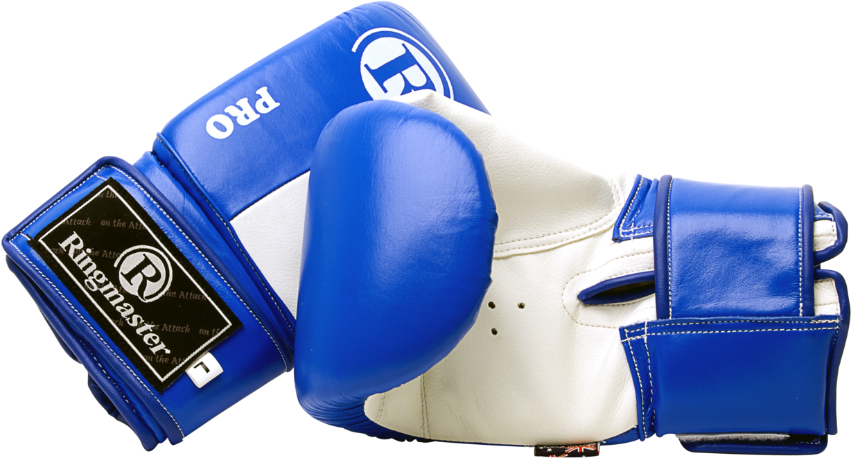 Accessories - Boxing Glove (1600x1600), Png Download