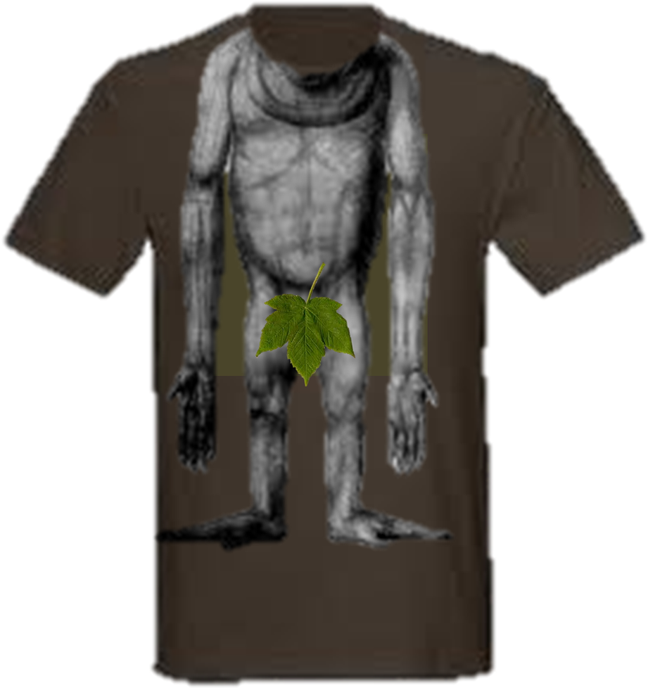 Shirt - Active Shirt (1024x1062), Png Download