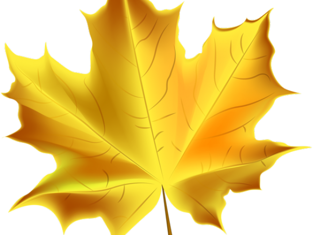 Autumn Leaves Clipart - Yellow Autumn Leaves Clipart (640x480), Png Download