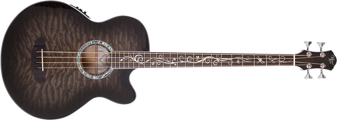 New Guitars For Namm - Michael Kelly Dragonfly Fretless (1100x425), Png Download