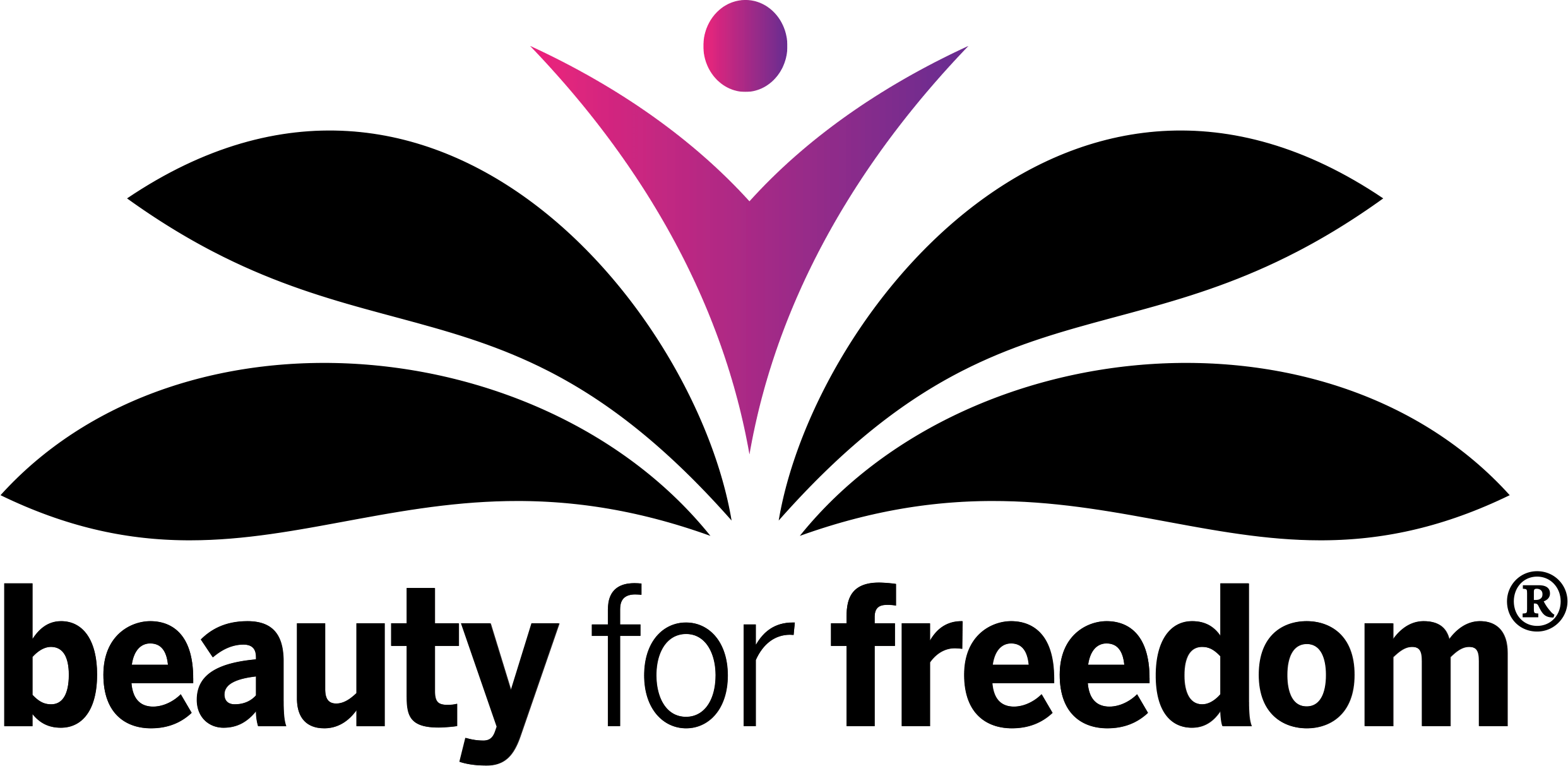 Beauty For Freedom Official Logo - Ausfahrt Freihalten Schild (2484x1213), Png Download