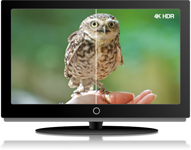 Amazing Quality 4x More Pixels Than Standard Definition, - Great Grey Owl (646x508), Png Download