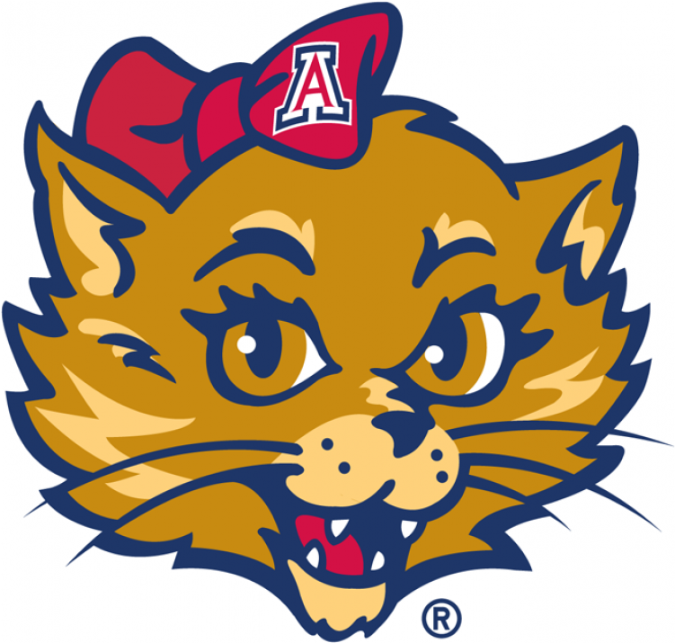 Arizona Wildcats Iron On Stickers And Peel-off Decals - University Of Arizona (750x930), Png Download