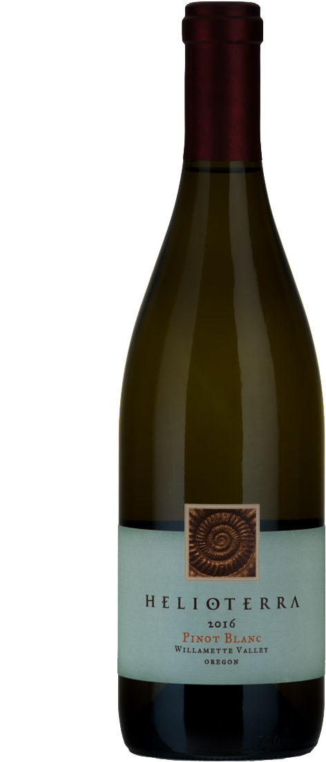 Our Wines - Glass Bottle (800x1200), Png Download