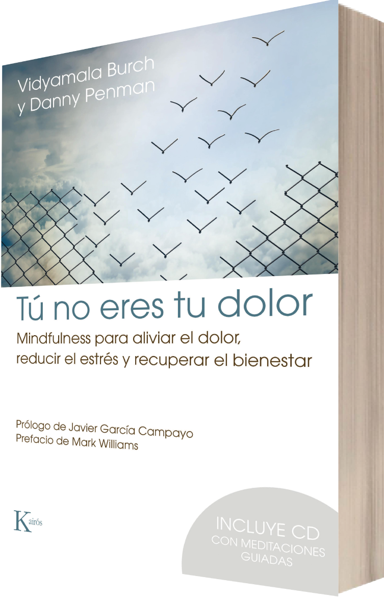 Libro Tú No Eres Tu Dolor - Tu No Eres Tu Dolor (753x1174), Png Download