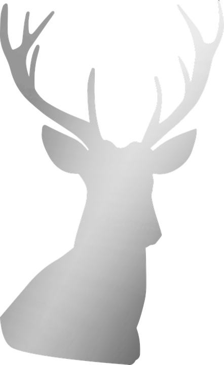 Silver, Deer, Antler, Buck, Stag, Metallic, Foil - Silver Stag Png (442x720), Png Download