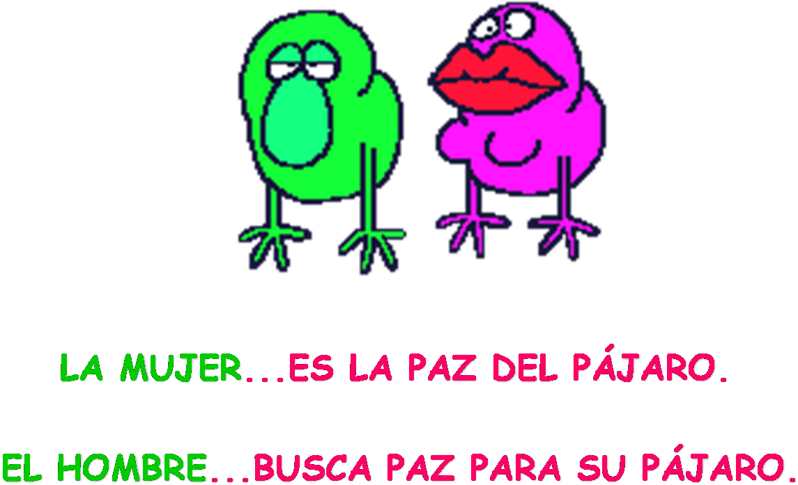 Es El Pájaro De La Paz - Happy Hump Day Animation (1215x777), Png Download