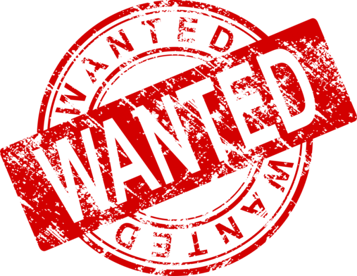 Wanted Stamp Png Hd - Wanted Stamp Png (700x542), Png Download