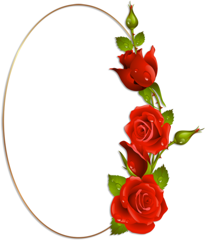 Oval Frame, Rose Frame, Flower Frame, Borders For Paper, - Rose (681x800), Png Download