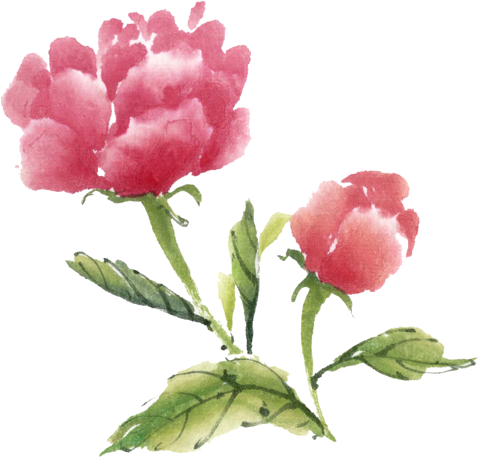 Ink Wash Painting Watercolor Flower Ipomoea Nil - Watercolor Painting (1000x951), Png Download