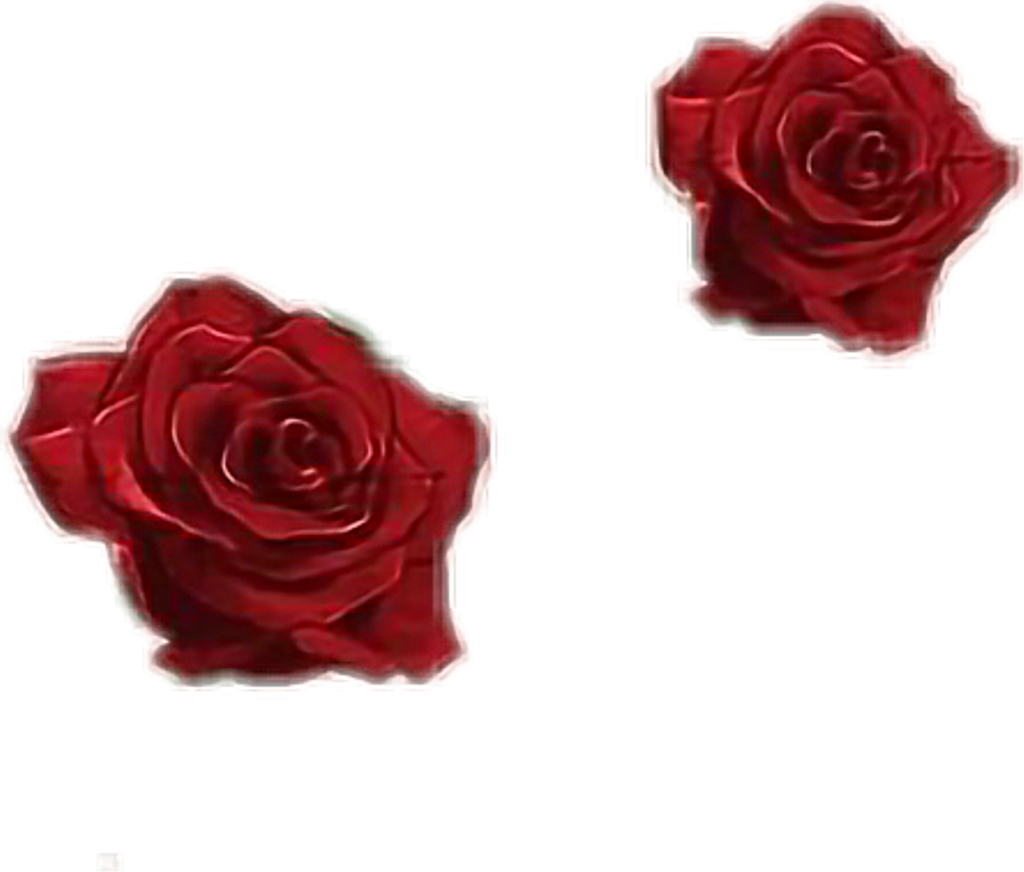 #rosas #roses #tumblr #dibujo #draw - Garden Roses (1024x872), Png Download