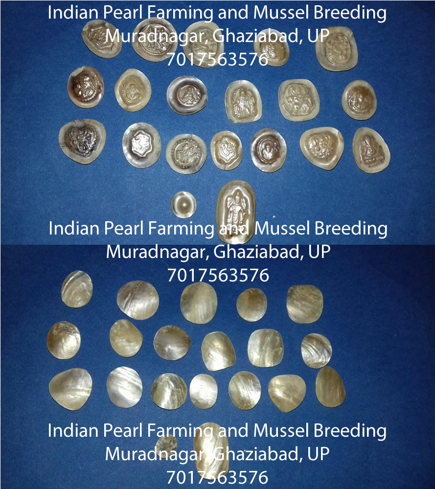 जो भी किसान भाई अपना डिज़ाइनर, आधा गोल या पूरा गोल - Label (1280x1440), Png Download