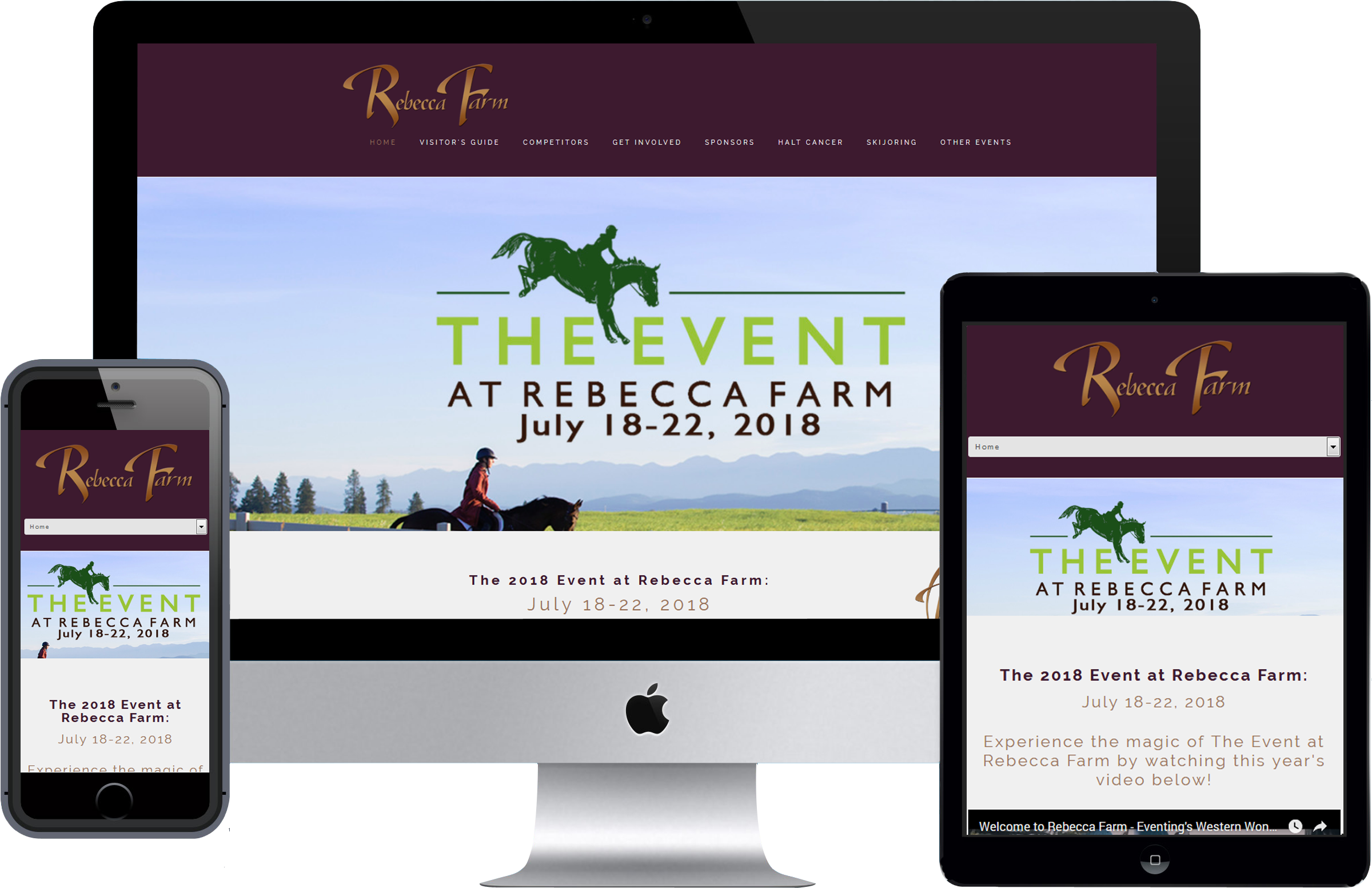 What We Did Website Development - Ecommerce Website Display Ads (2533x1695), Png Download