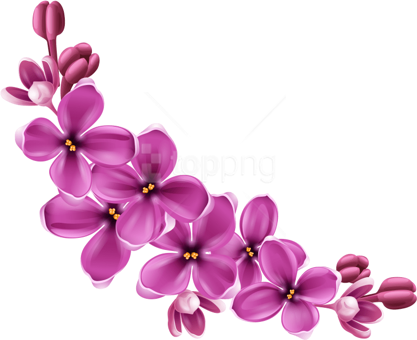 Free Png Download Flowers Png Images Background Png - Flowers Png Images Hd (850x707), Png Download