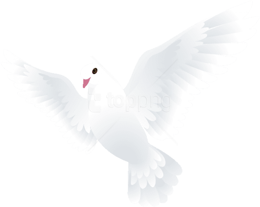 Free Png Download Dove Transparent Png Images Background - 3 White Doves Png (850x676), Png Download