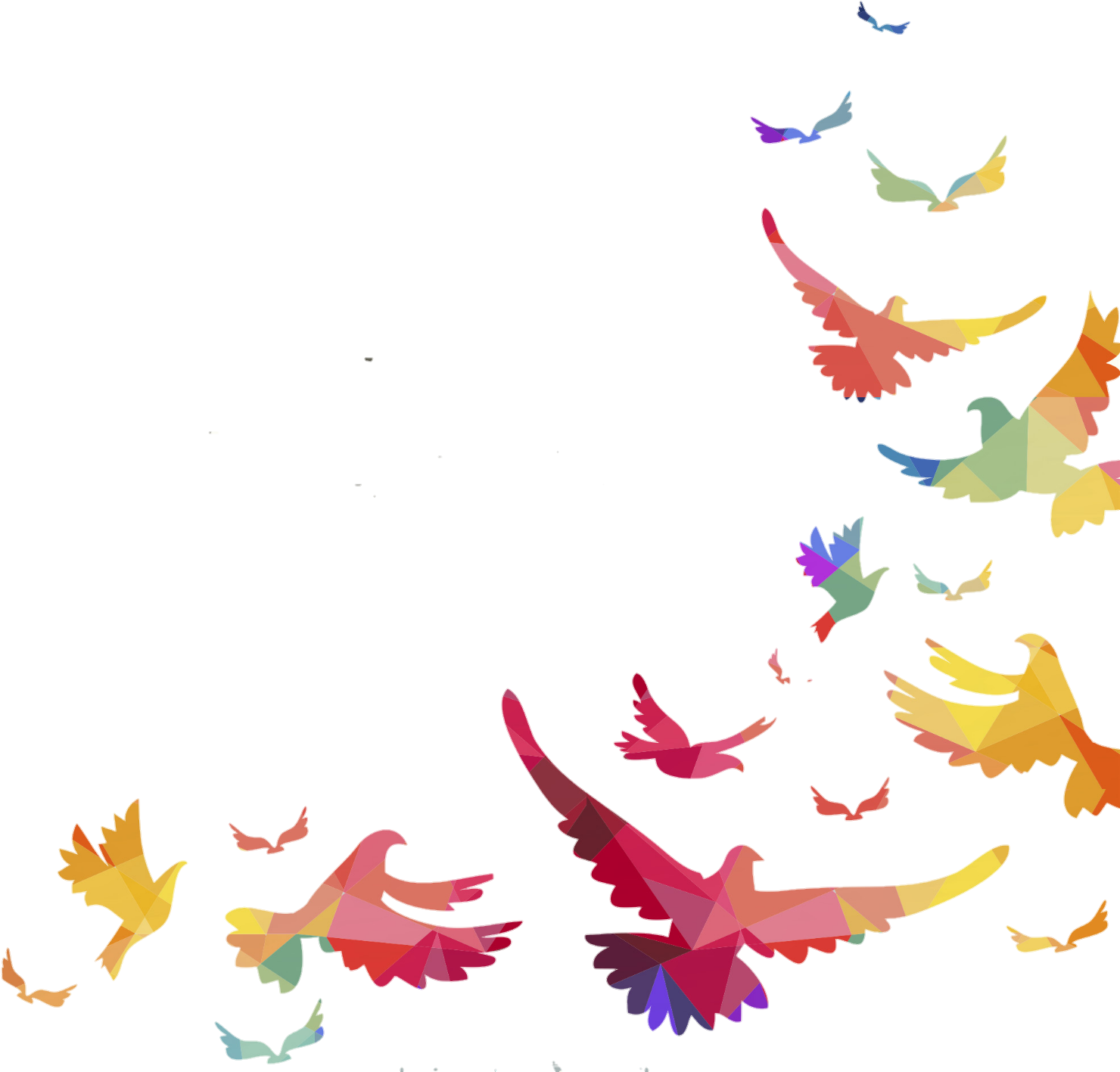 Birds Bird Borders Border Frame Frames - Birds Borders And Frames (1505x1446), Png Download