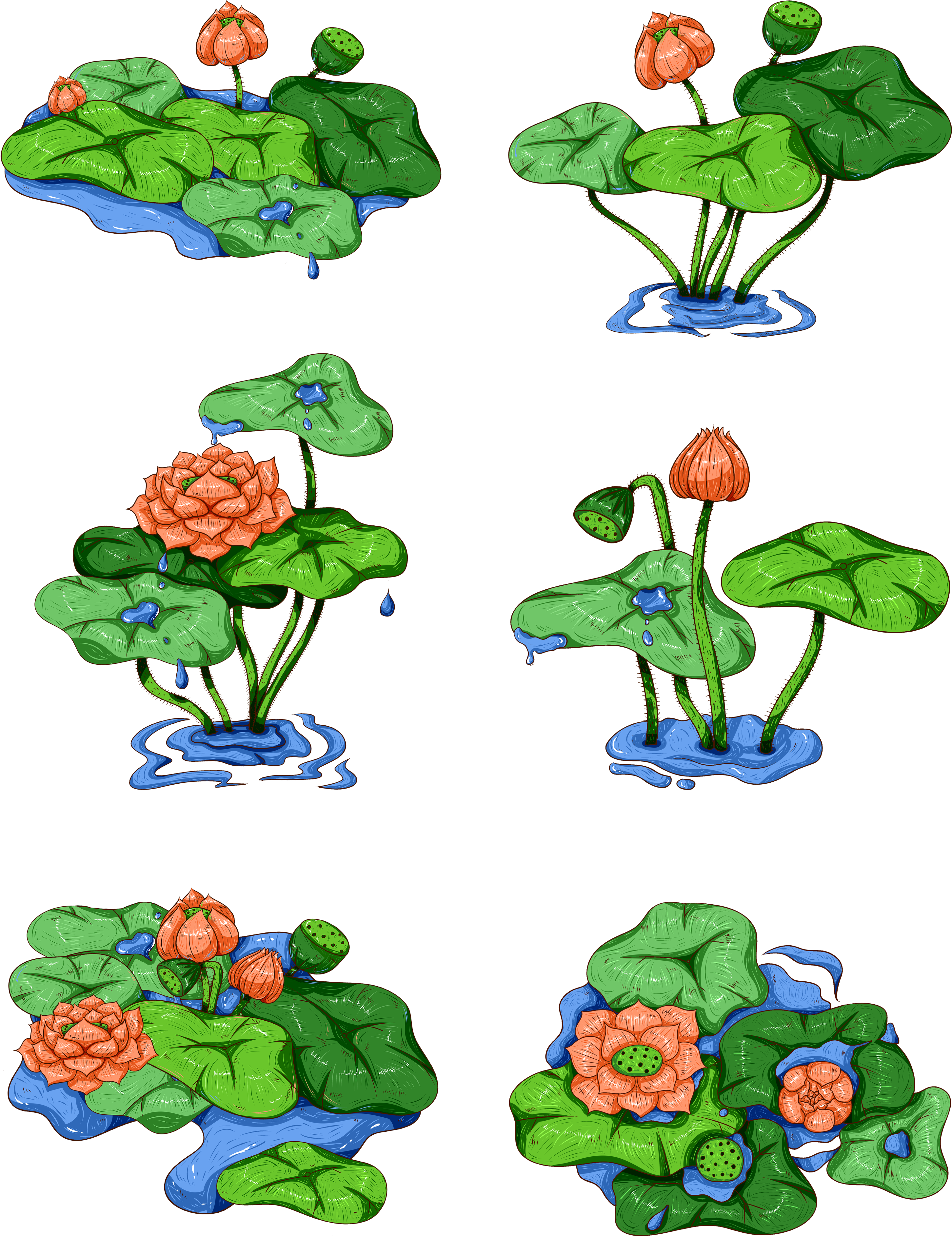 Original Commercial Peint À La Main Pomme De Douche (3072x4107), Png Download