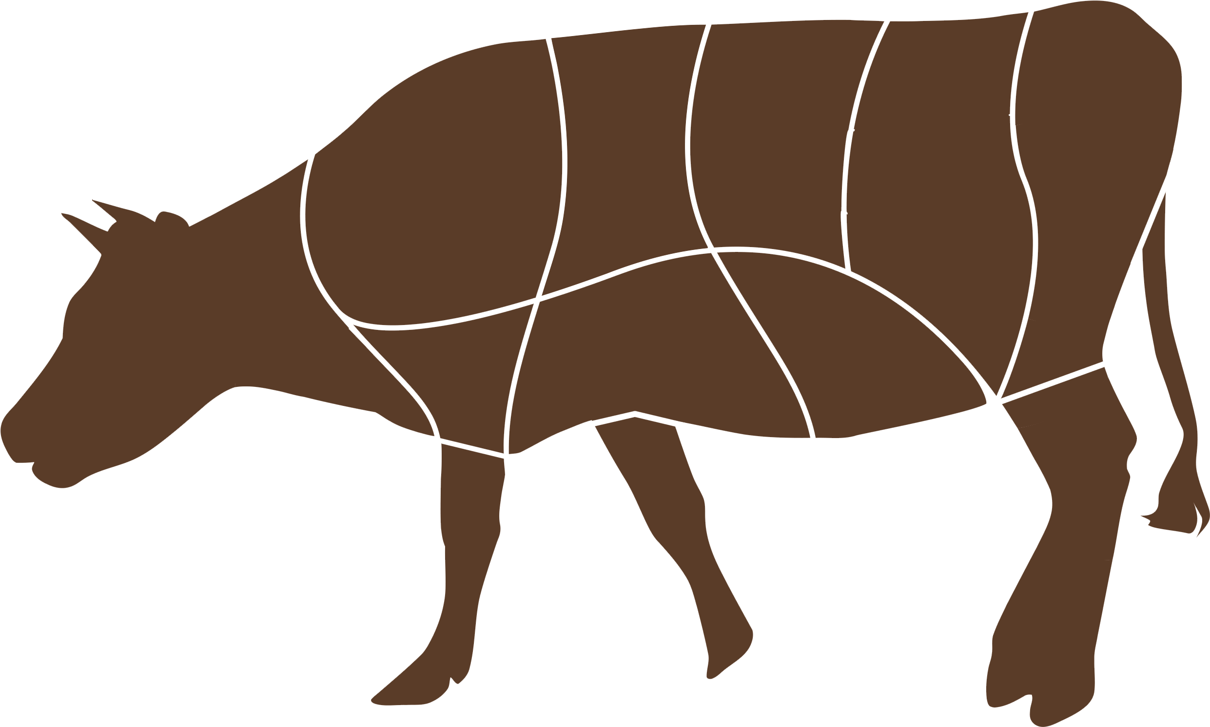 Puzzle - Indian Rhinoceros (2574x1693), Png Download
