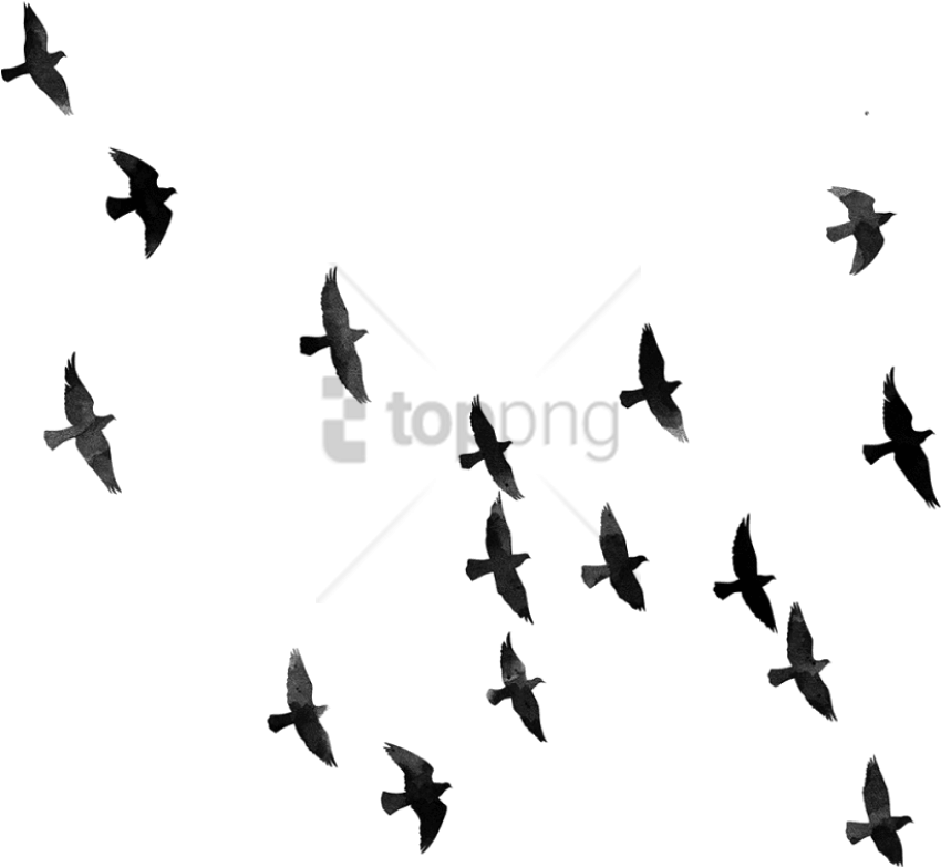 Free Png For Picsart Background Hd Png Image With Transparent - Png For Picsart Hd (850x783), Png Download