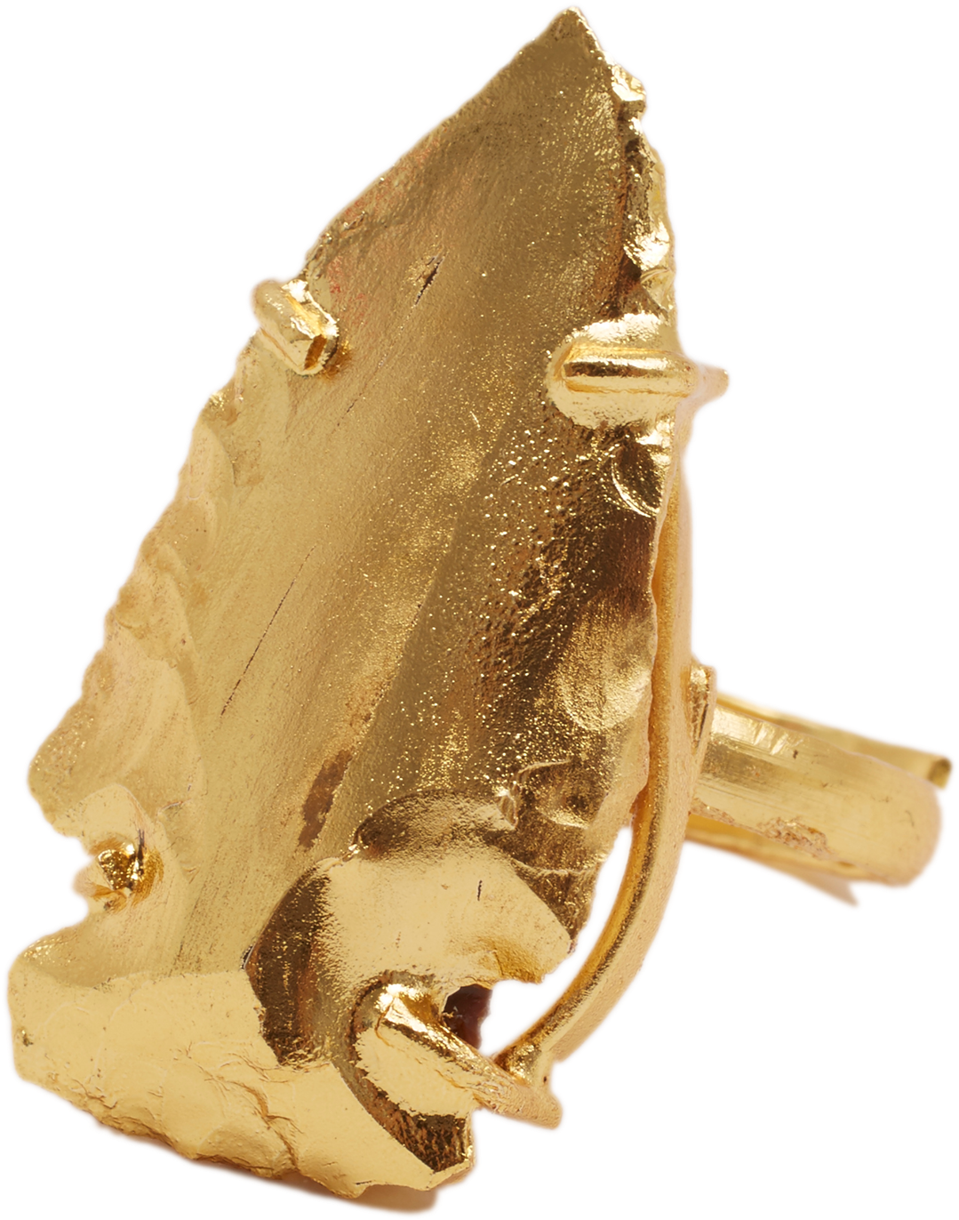 Golden Xena Ring - Handgun Holster (2000x2264), Png Download