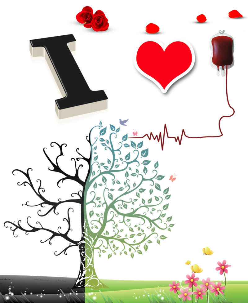 Blood Donation Png Transparent Image - Grandkids Family Tree (800x977), Png Download