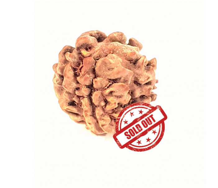 1 Mukhi Nepali )(lord Shiva) - Breakfast Cereal (700x850), Png Download