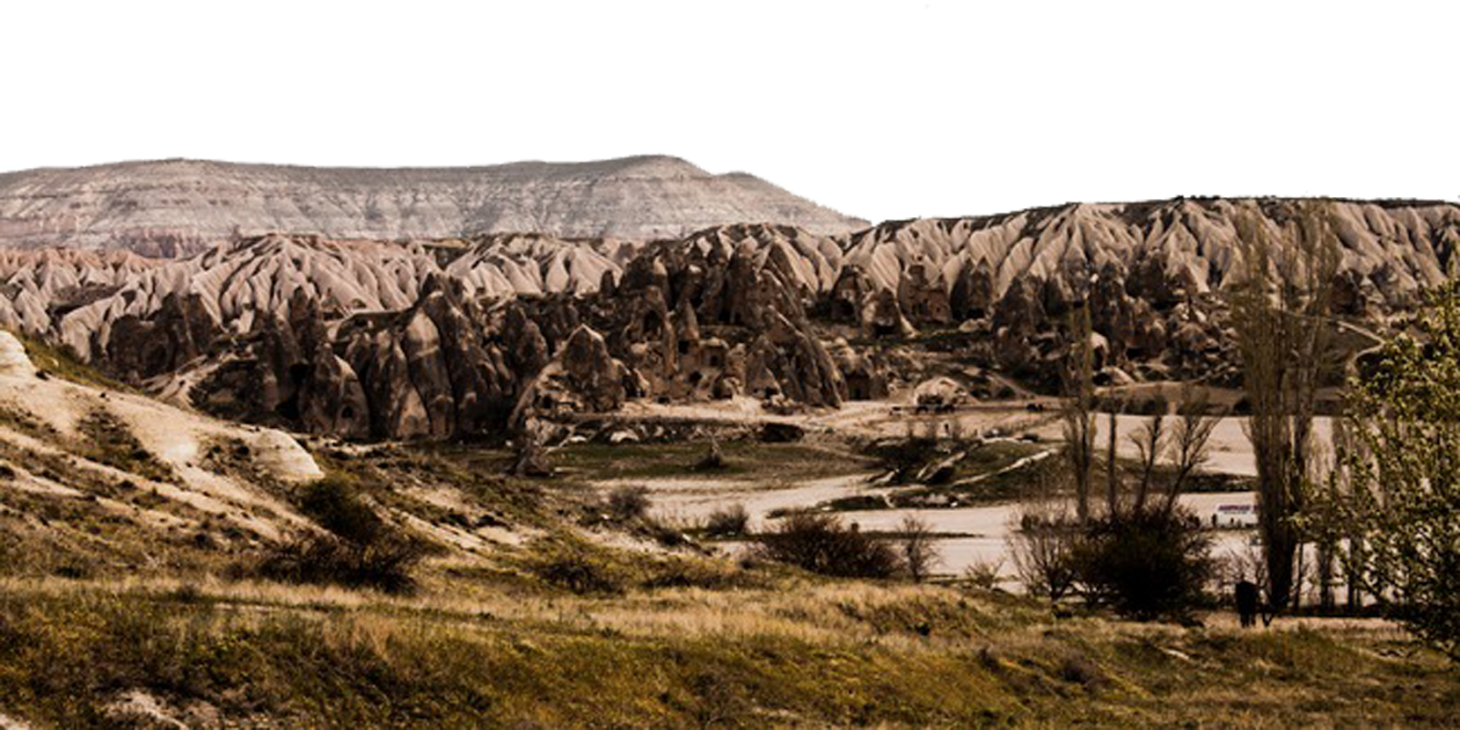 Mountain Background Picture Hd Png - Tree (1600x800), Png Download