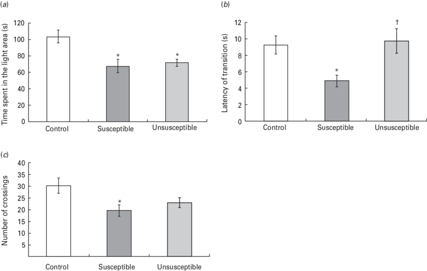 Effects Of Social Defeat On Light/dark Preference Test - Diagram (850x539), Png Download