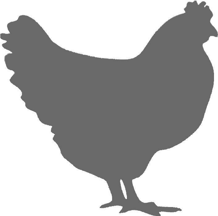 Offals And Others - Chicken Decals (1051x757), Png Download