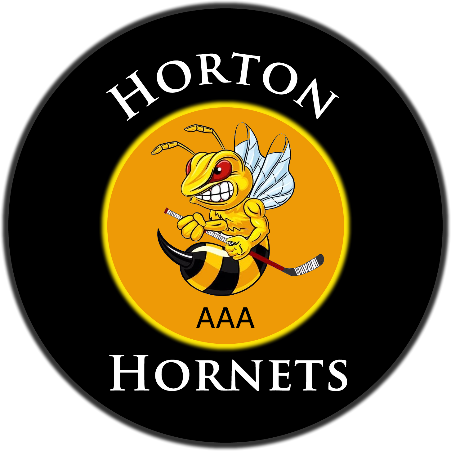 Aaa 2010 Hockey Team - Illustration (1454x1454), Png Download