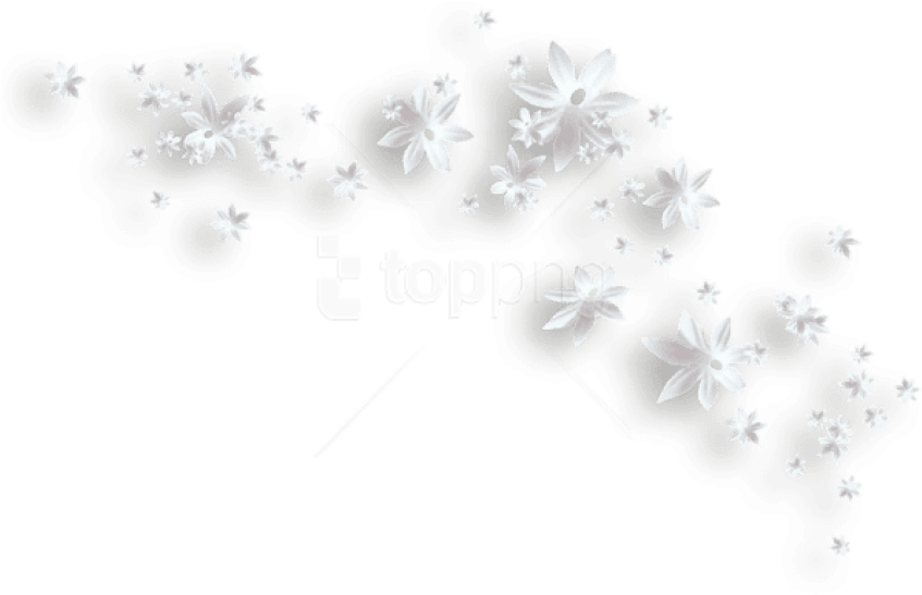 Free Png Download White Flowers Decorative Clipart - White Flower Transparent Png (850x573), Png Download