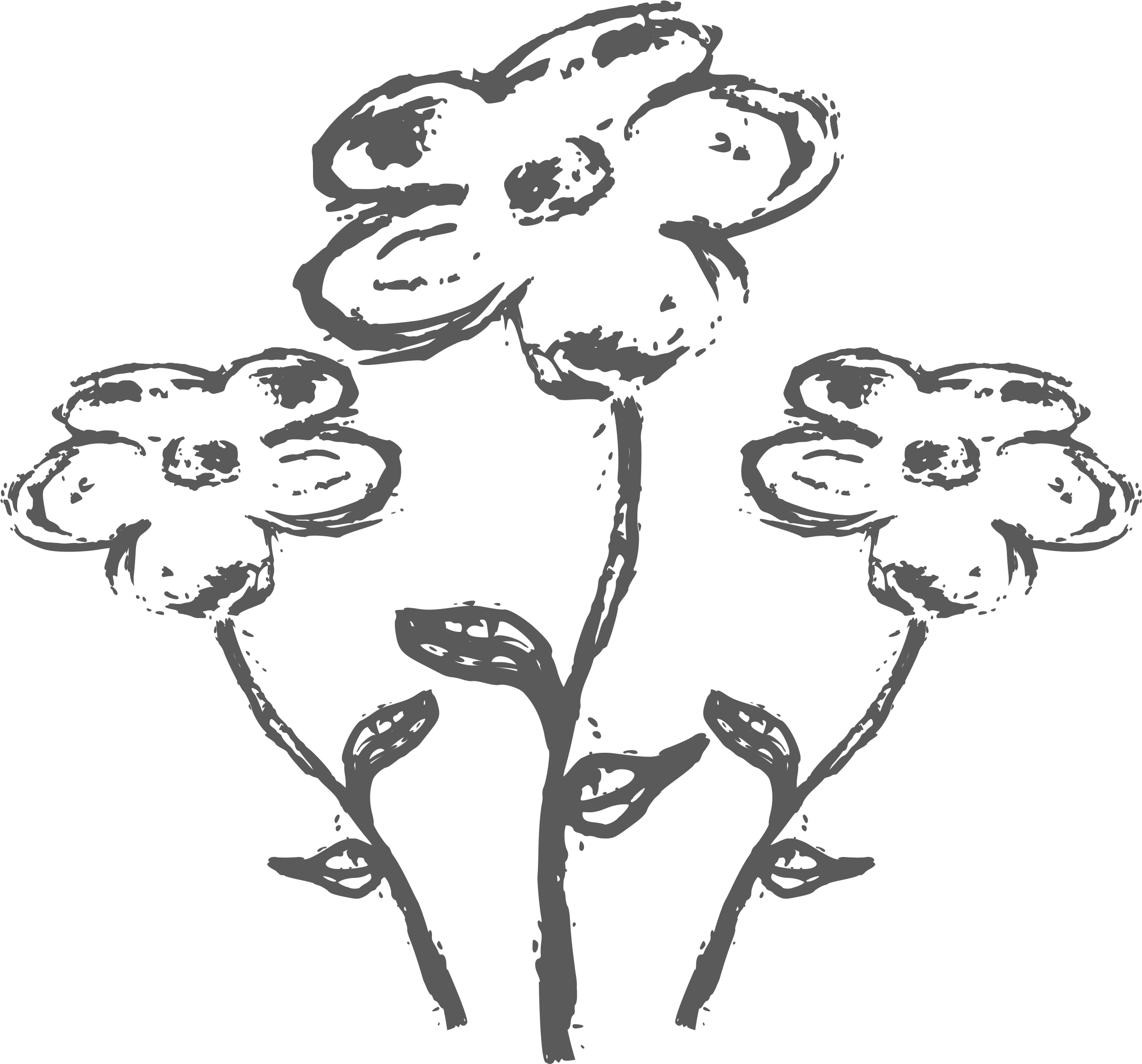 Big Image - Atividade Primavera De Deus (2400x2370), Png Download