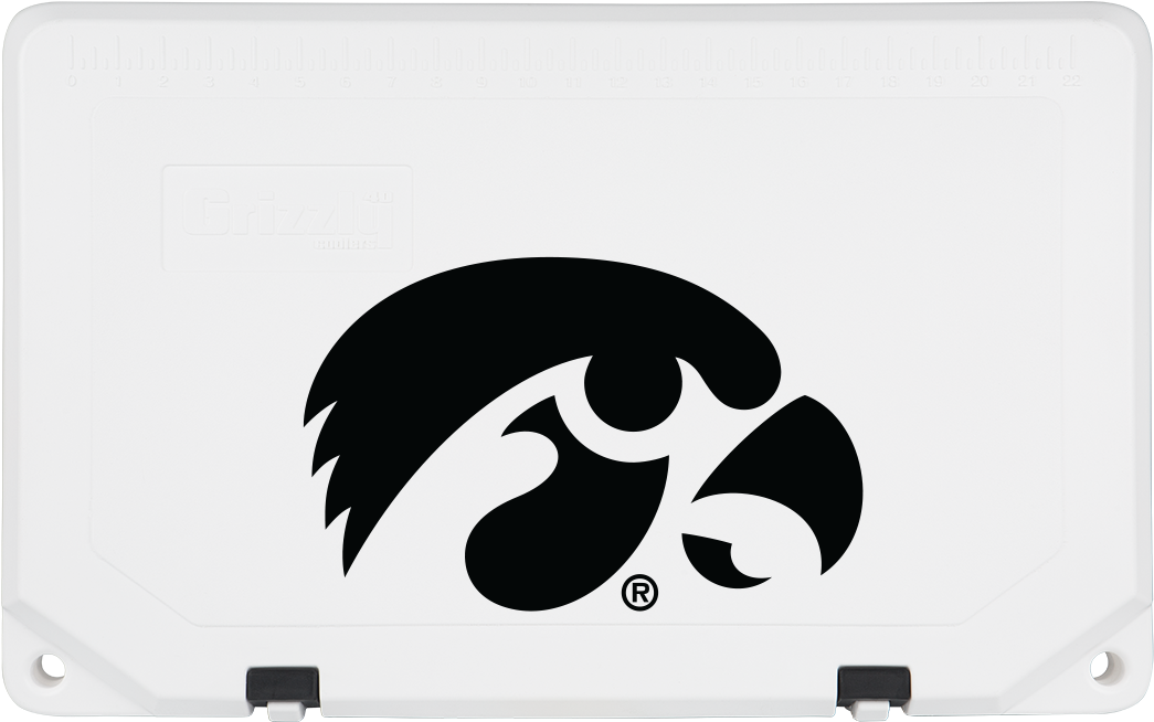Hawkwhite - Iowa Hawkeyes (1200x1050), Png Download