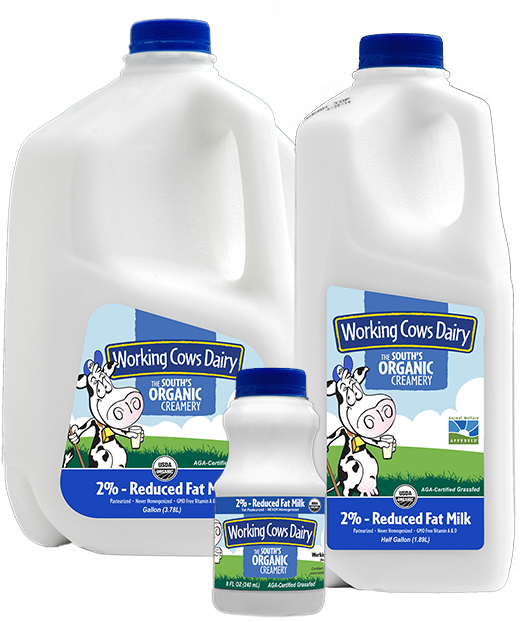Gallon Organic 2% Milk - Working Cows Dairy Milk (600x625), Png Download