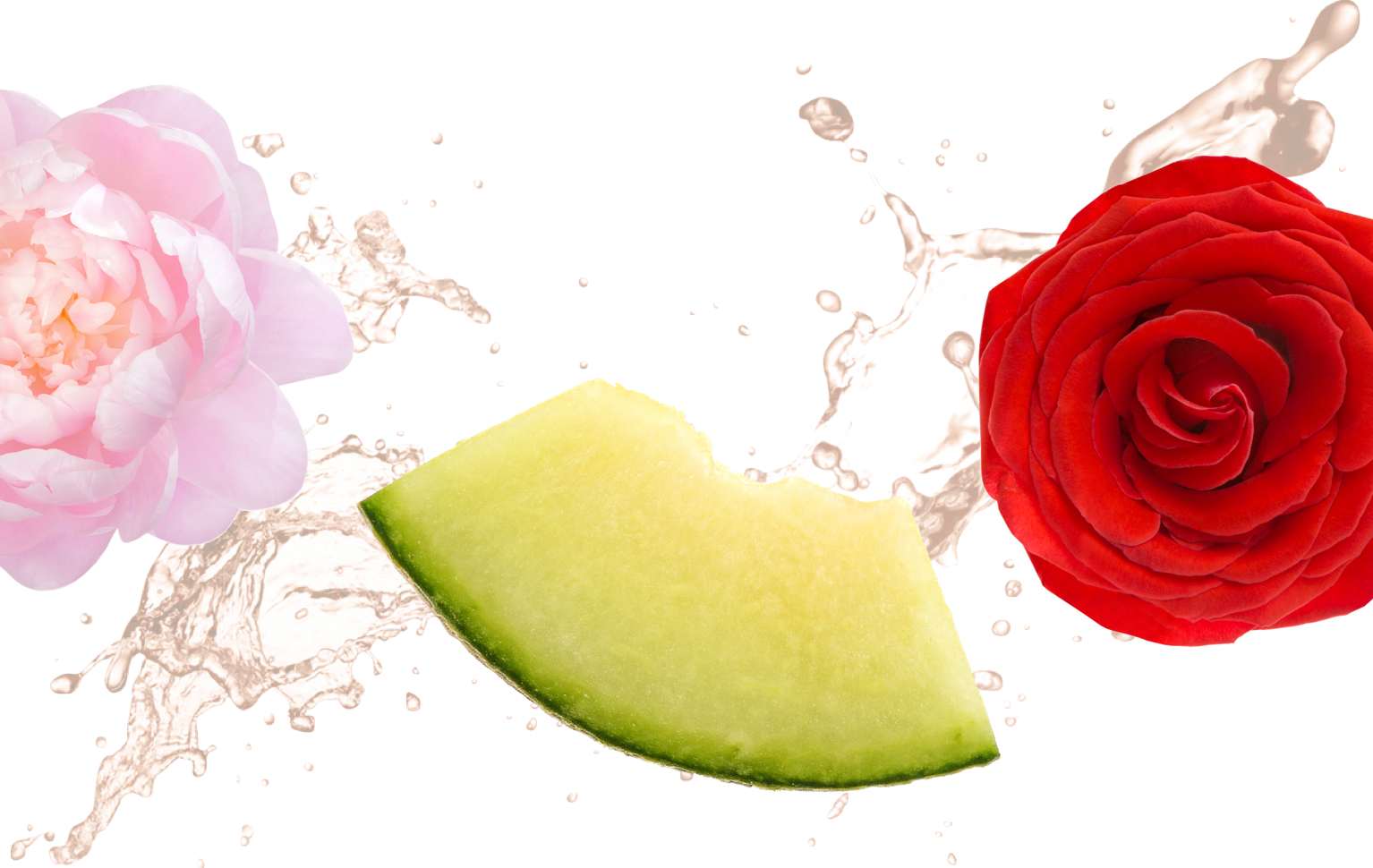 Created With Sketch - Summer Bouquet Zoflora (1534x970), Png Download