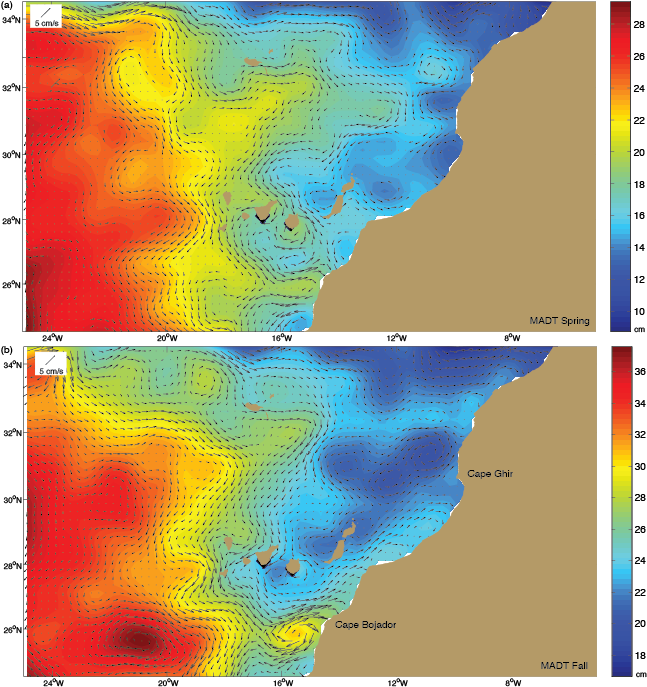 Seasonal Cycle Of The Canary Current - Map (655x700), Png Download