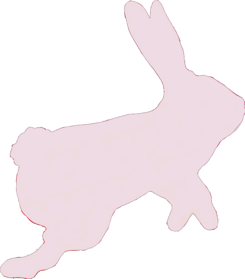 #rabbit #bunny #hare #pink #sticker #hop #hopping #jump - Domestic Rabbit (1024x1166), Png Download