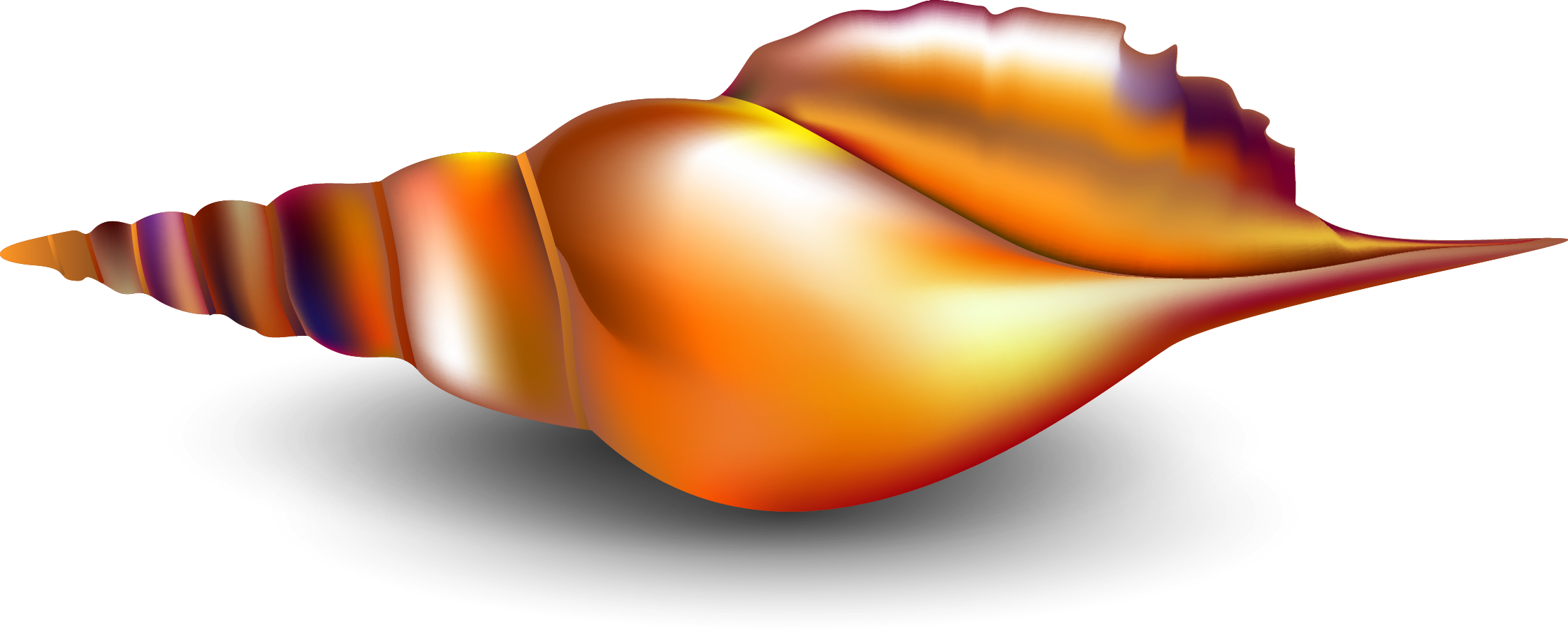 Seashell Conch Mollusc Shell - Seashell (2244x908), Png Download